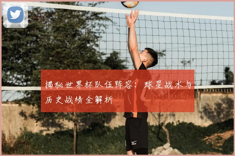 揭秘世界杯队伍阵容：球星战术与历史战绩全解析